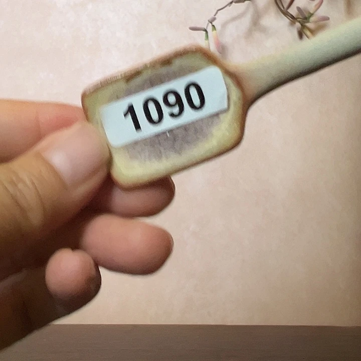 黄***黄缸1090000000000000
