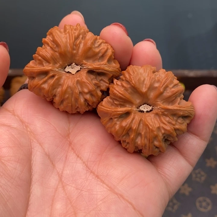 核桃平谷凹底41核桃