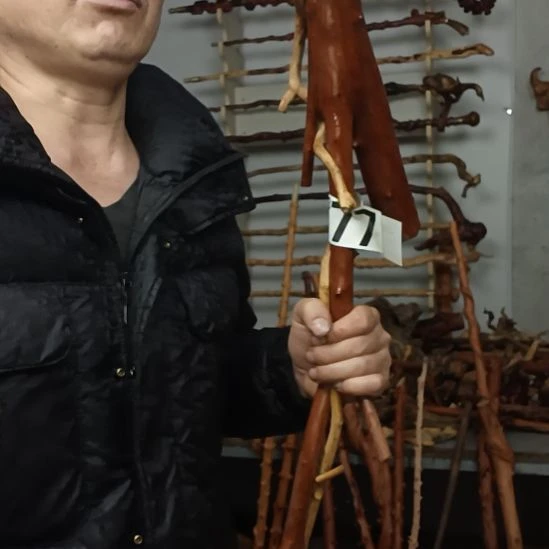 上***水香榧木高山 檬子木文玩料