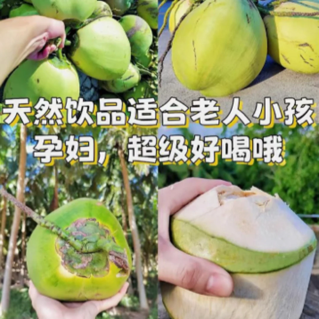 9.9一个海南椰青（可开好）2斤左右