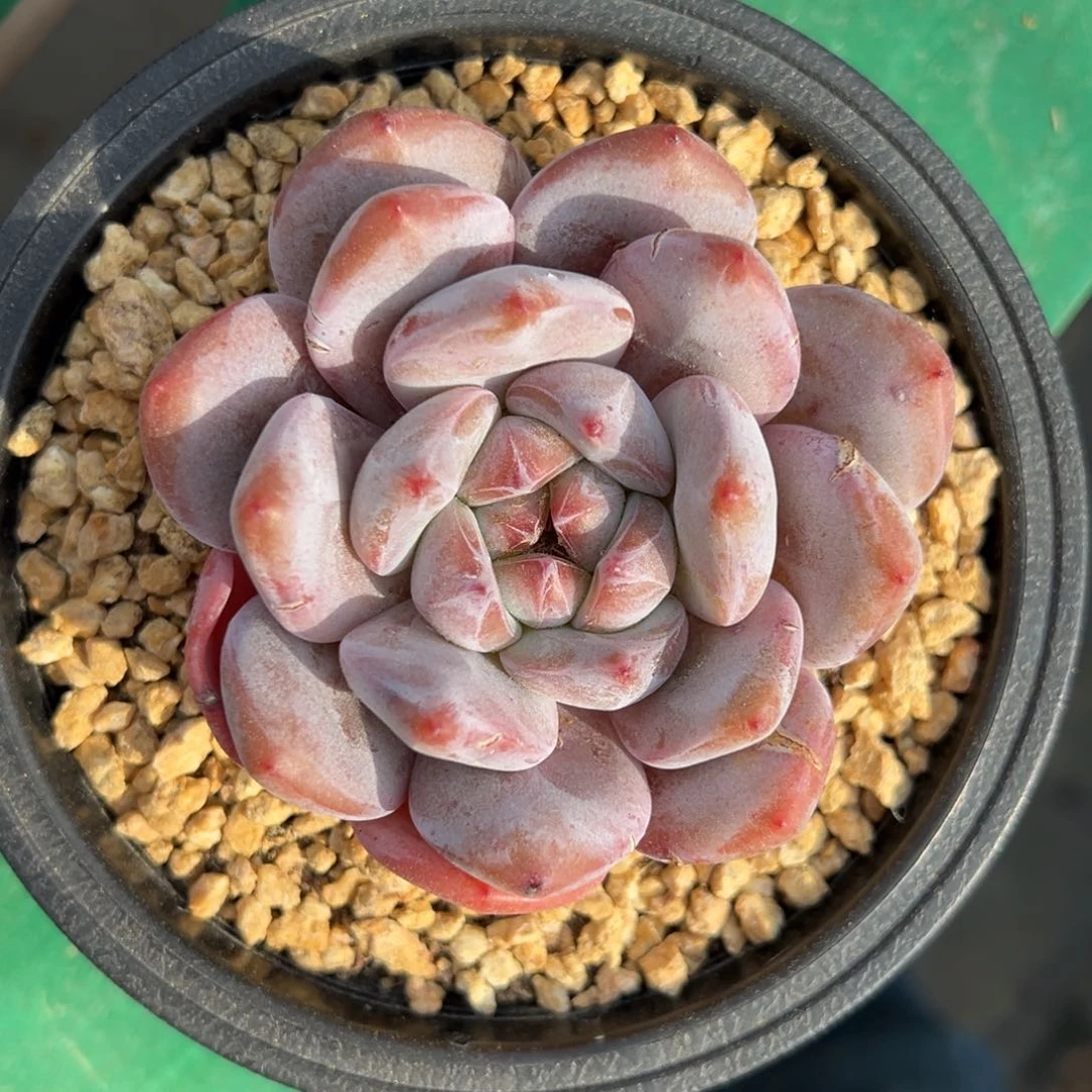 W****?cbvbhhhgghhhhhhhg