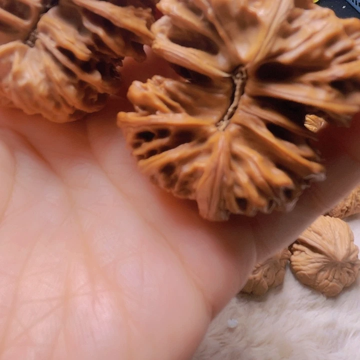 哈*哈核桃核桃核桃核桃