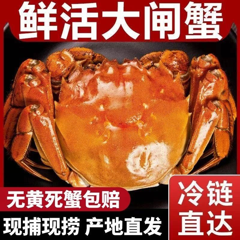 【活蟹】江苏洪泽湖大闸蟹公蟹4.1-3.8两母蟹3.1-2.8两6只/8只/10只