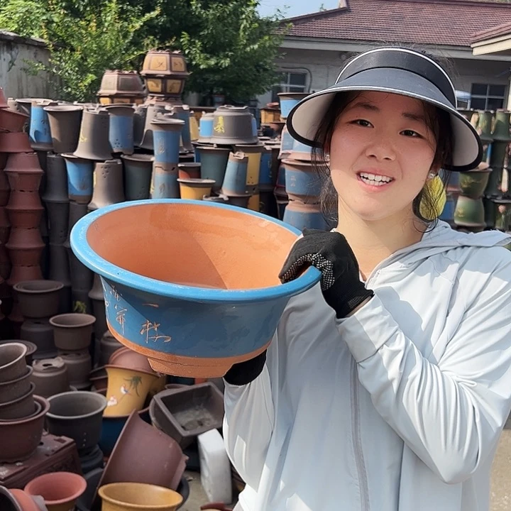 33蓝票口花盆花盆花盆