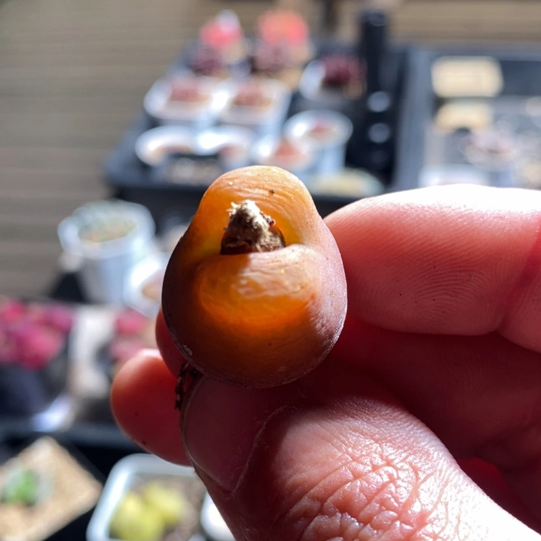 9162一个一个一个