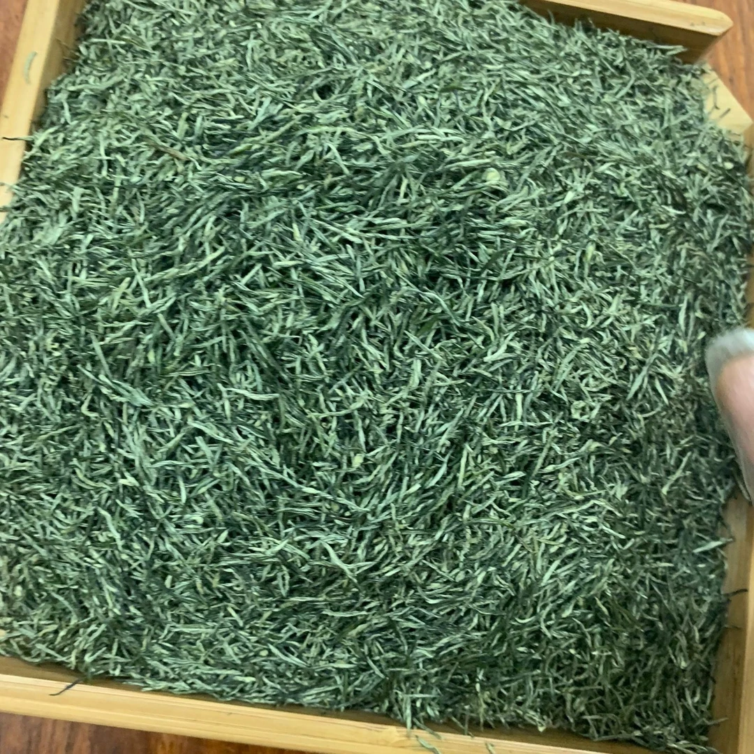 “端午快乐”2025明后5月21日采摘芽毛尖散装小米芽新茶，