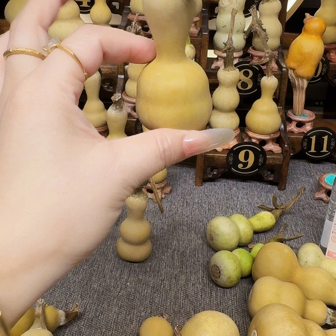 牛***）葫芦村等自然保护地带进行