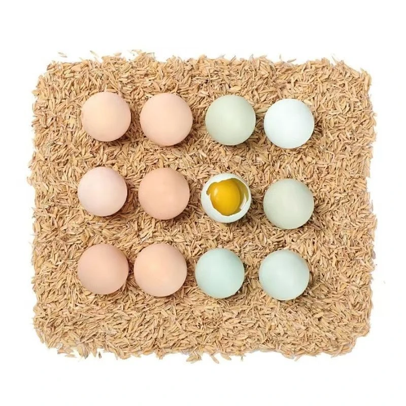 鸡蛋农家鸡蛋新货