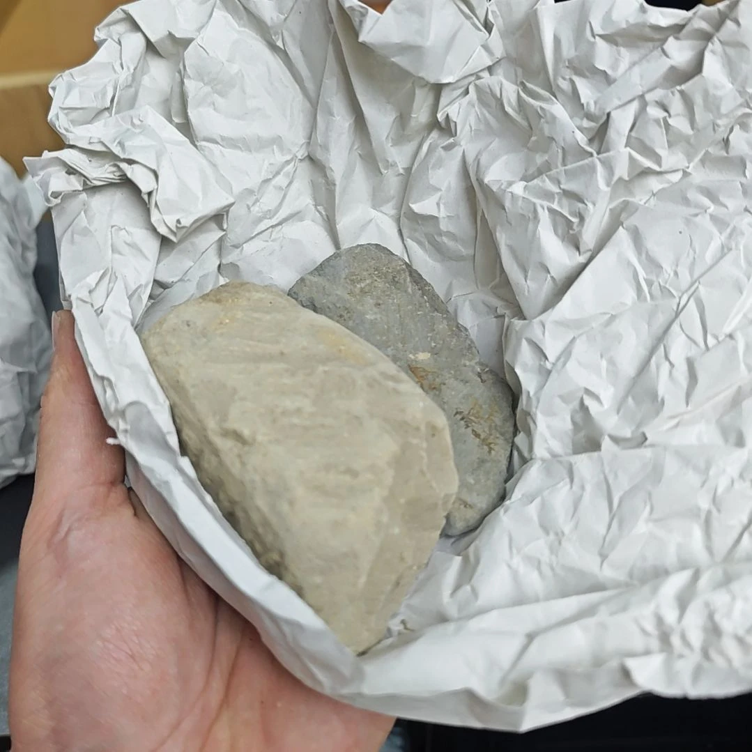 小***哥我厉害咯噢噢噢哦哦模型