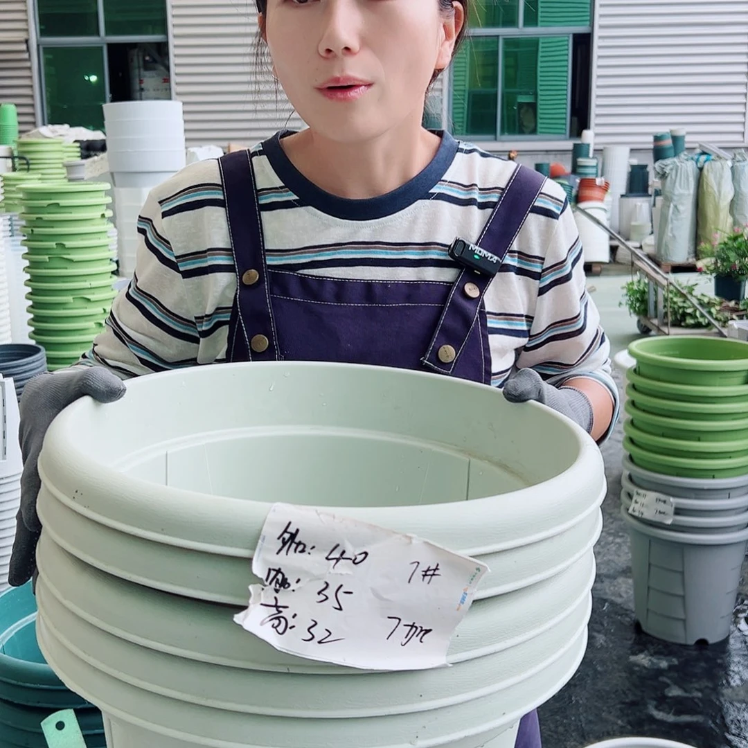 青山盆7#米白5个无托