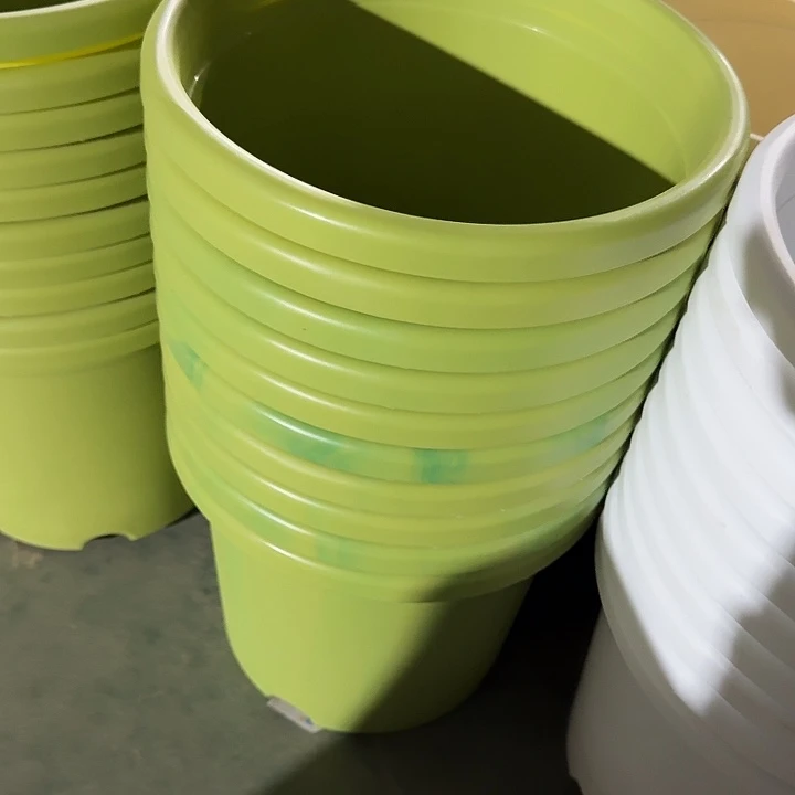 瑕疵5#口径29果绿5个无托