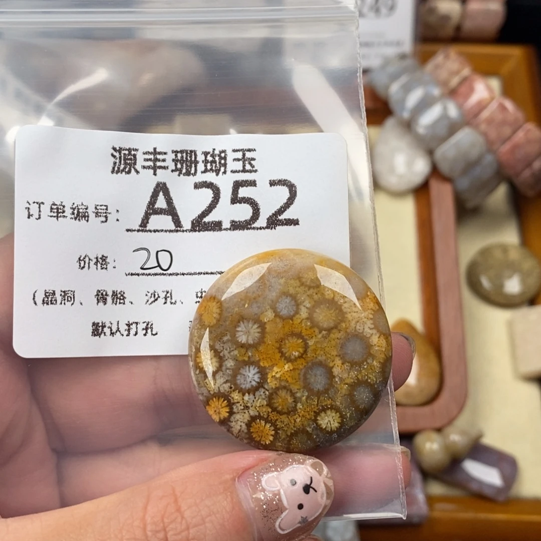 捡****未镶嵌颈饰硅化玉