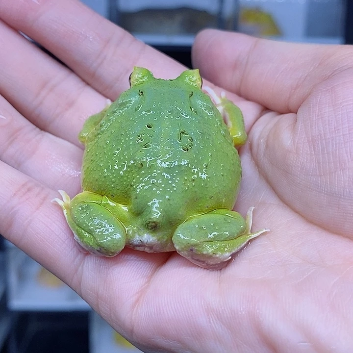 特价秒杀现货特价