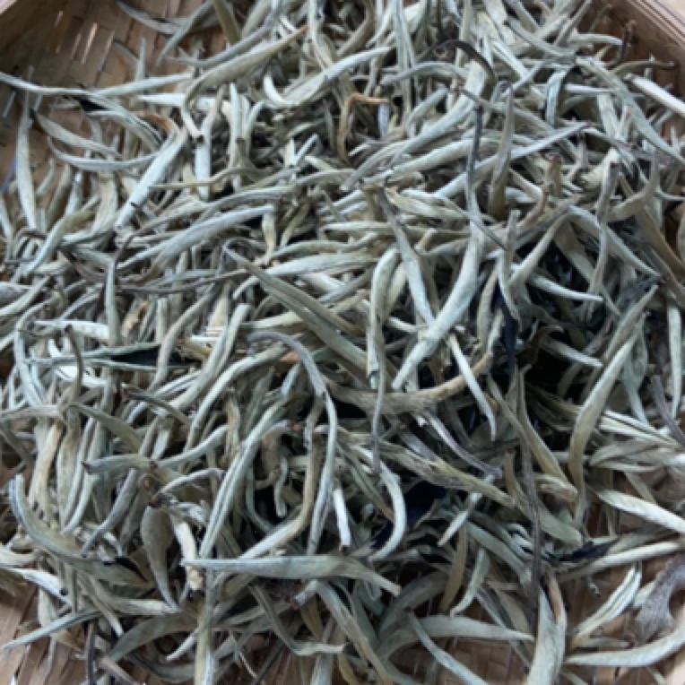 2024年景谷白毫银针白茶散茶250克*1盒-1.21【10号】