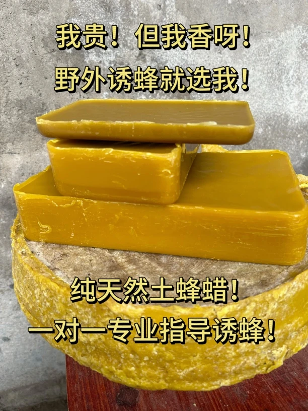 中蜂蜂蜡 土蜂蜂巢蜡 诱蜂蜡 户外诱蜂
