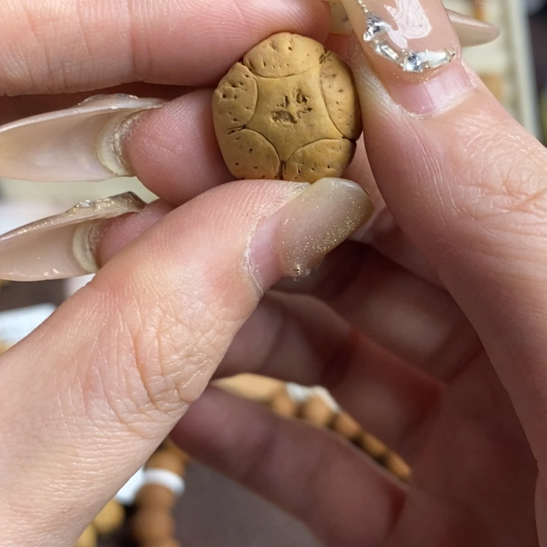 吊坠凤眼菩提五星上将17.3