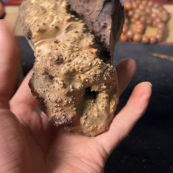 苦***练香榧木我们的确有点儿喜欢的东西