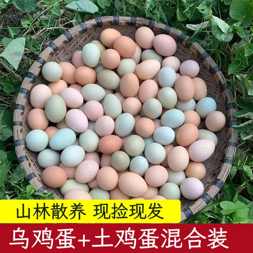 【胡子哥专属】农家散养正宗土鸡蛋现捡现发孕妇谷物营养虫草柴鸡蛋