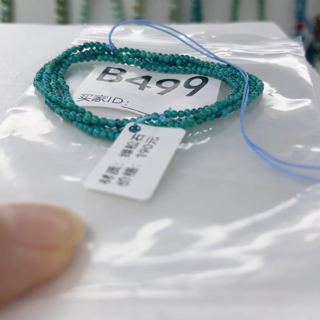 绿松石未镶嵌颈饰2.0