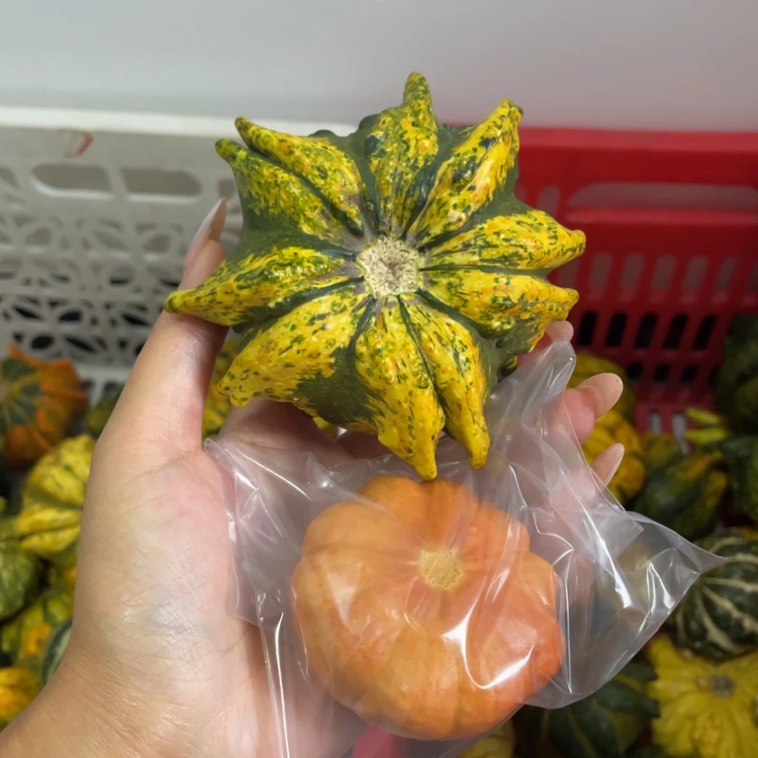 昵***置无花朵昵称哈哈哈哈哈哈哈哈