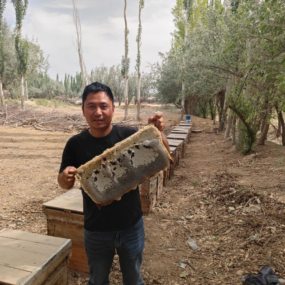 新疆特产沙枣蜜一斤两斤装产地直发包邮