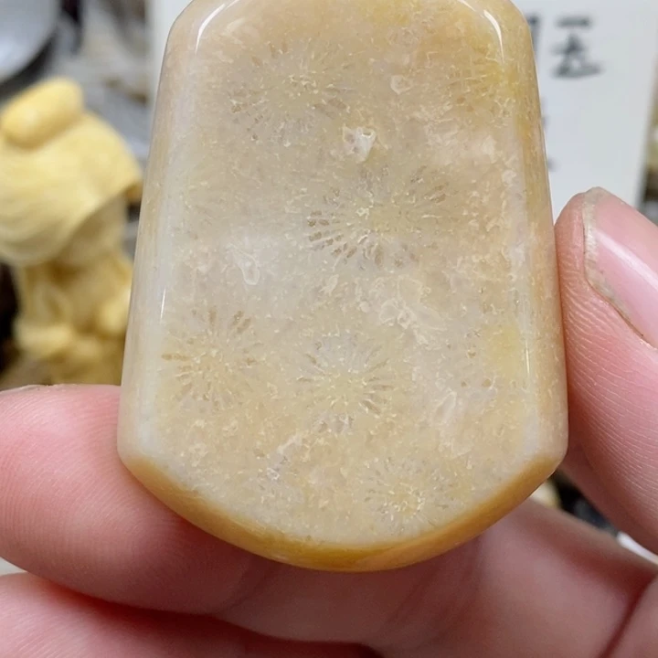 颈饰未镶嵌硅化珊瑚（珊瑚玉）