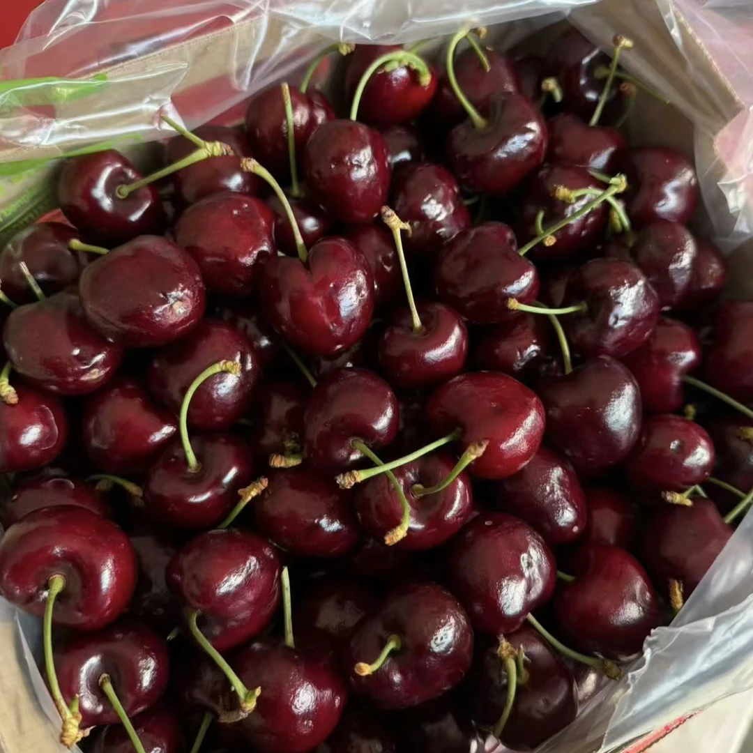 顶级5J级288元/5斤顶级空运刚刚到货5JD级现称新鲜绿柄桑提娜车厘子净重1斤空运桑提娜智利