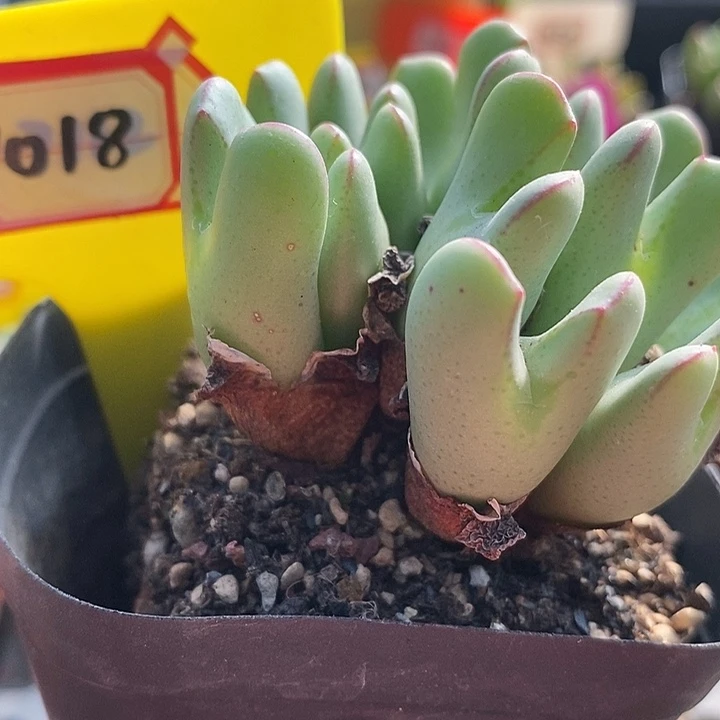 这些东西的背后隐藏7018