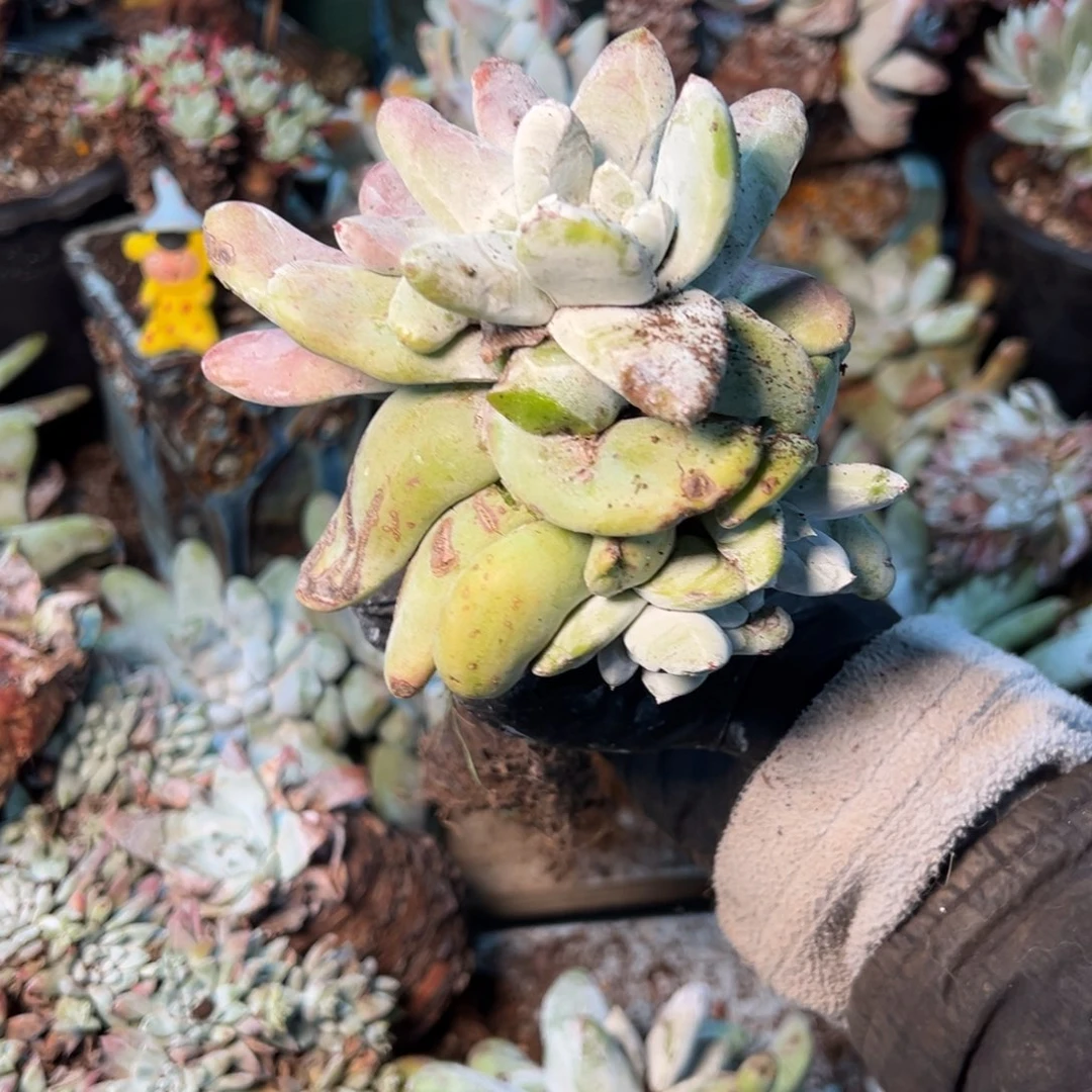 223哈哈哈哈哈哈哈哈