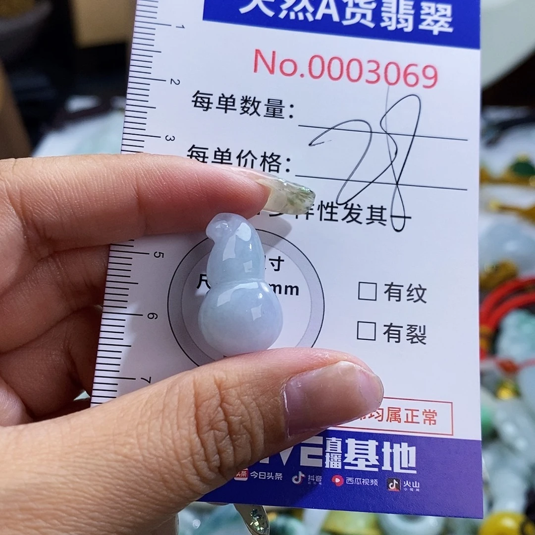 翡翠未镶嵌颈饰3069