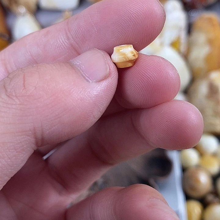 琥珀未镶嵌裸石我