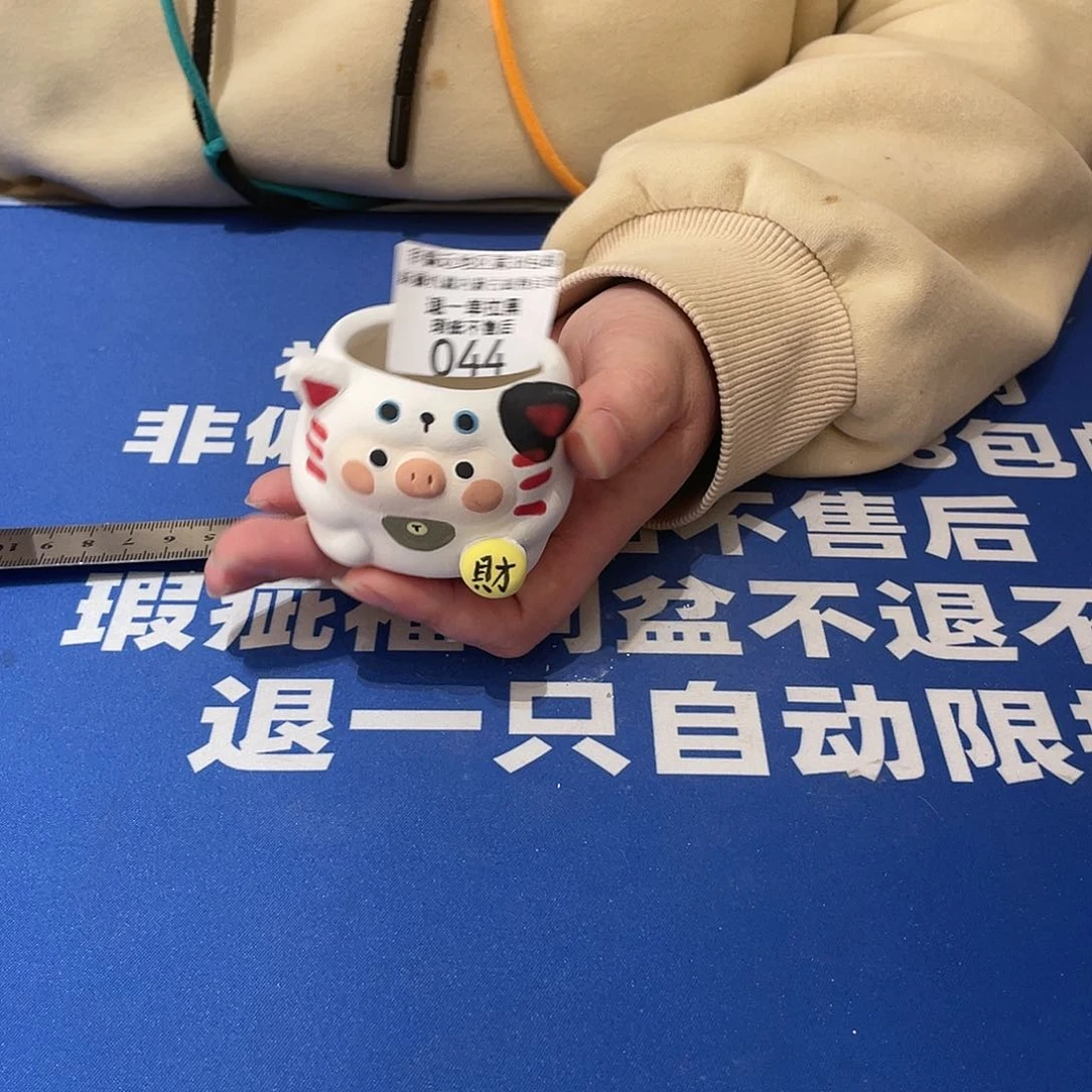 红陶马上就要开始发财啦044