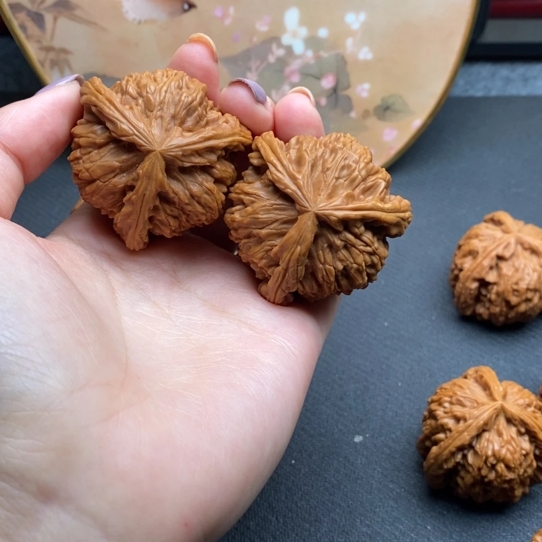 一**运白狮子1111111111111