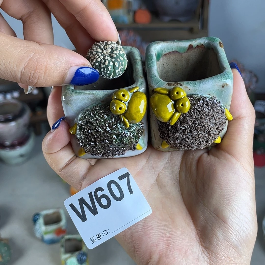 小白孤品 立体小羊内口3.2左右 百搭