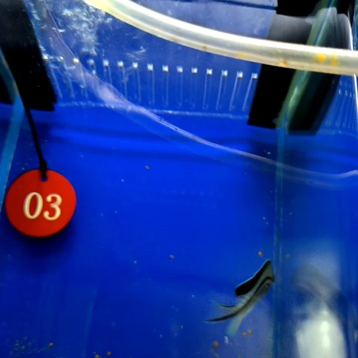 拉马克5+/2-20-03海水