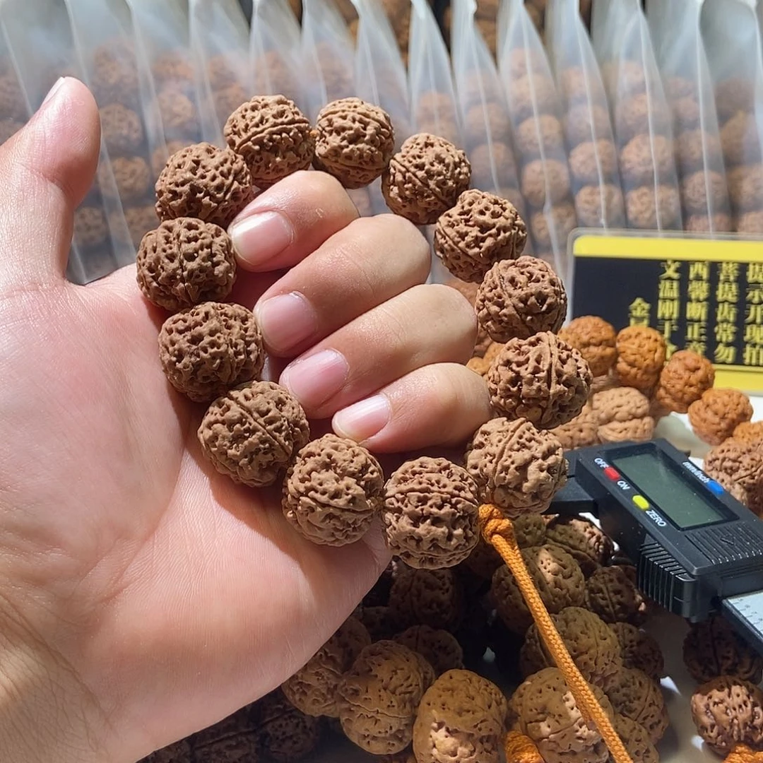 吊坠金刚菩提原生态爆肉双龙23mm
