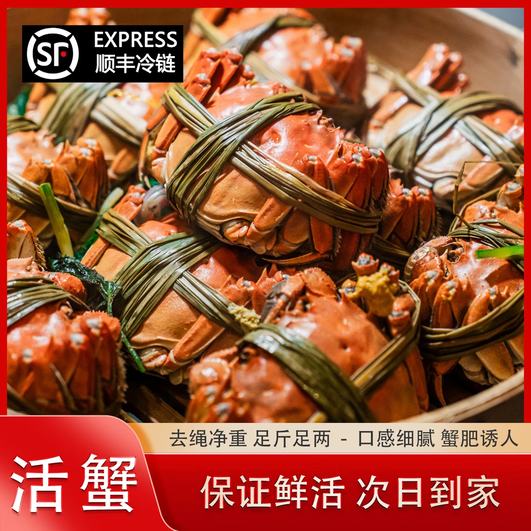 【活蟹】3两全母江苏固城湖精品大闸蟹鲜活包活顺丰冷链明天到1只