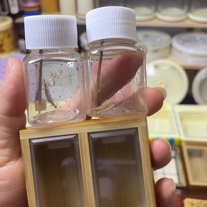 双格竹玲盒带柬竹2条