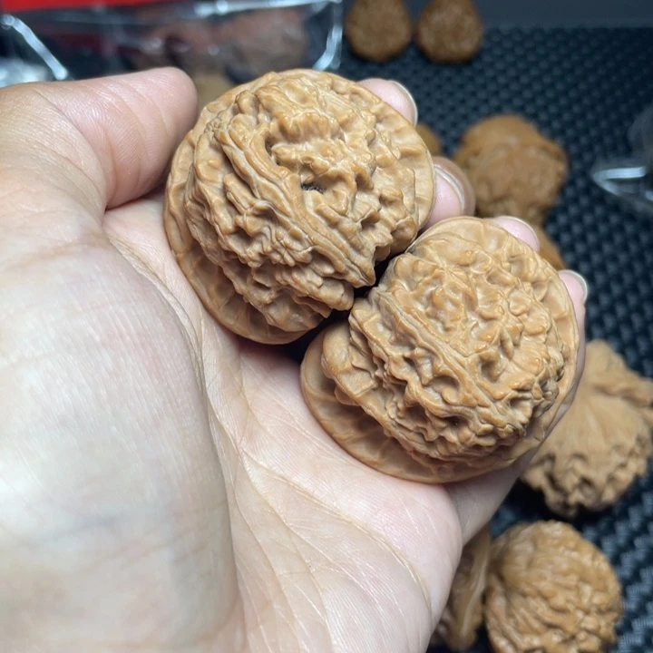 文玩核桃把件42白狮子头