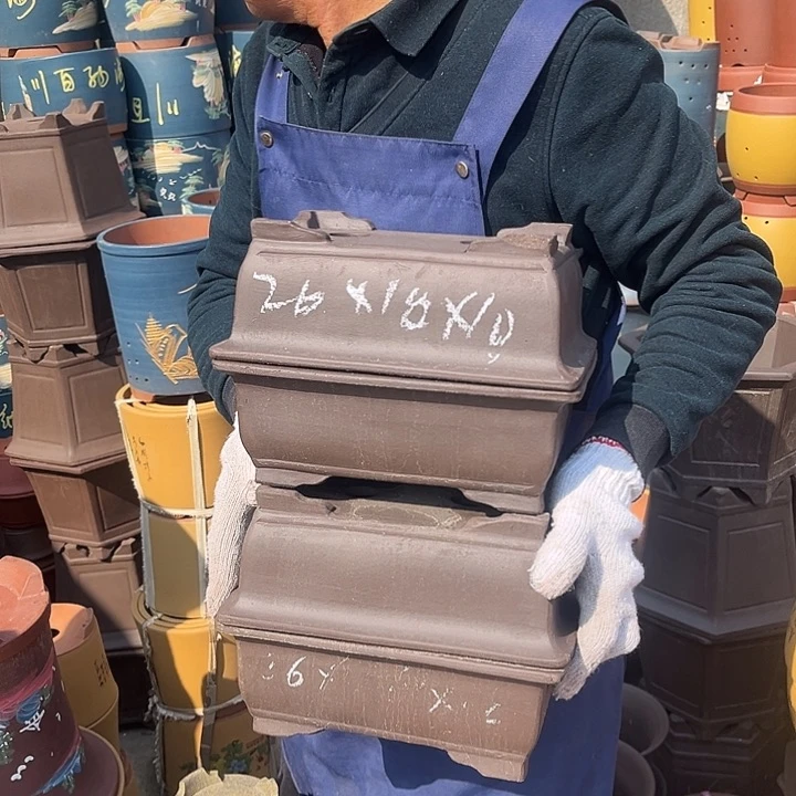 紫砂花盆和小盆栽是什么