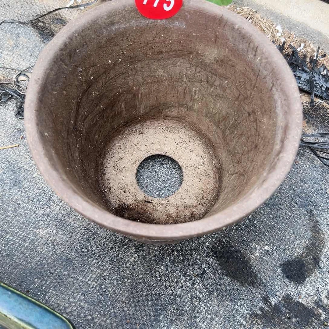 a***8对你的喜欢就如同这日子只增不减775