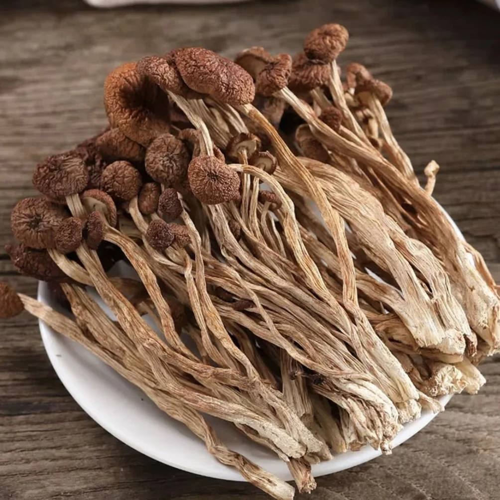 【茶树菇】 江西黎川茶树菇 口感鲜嫩 香味浓郁 煲汤佳品