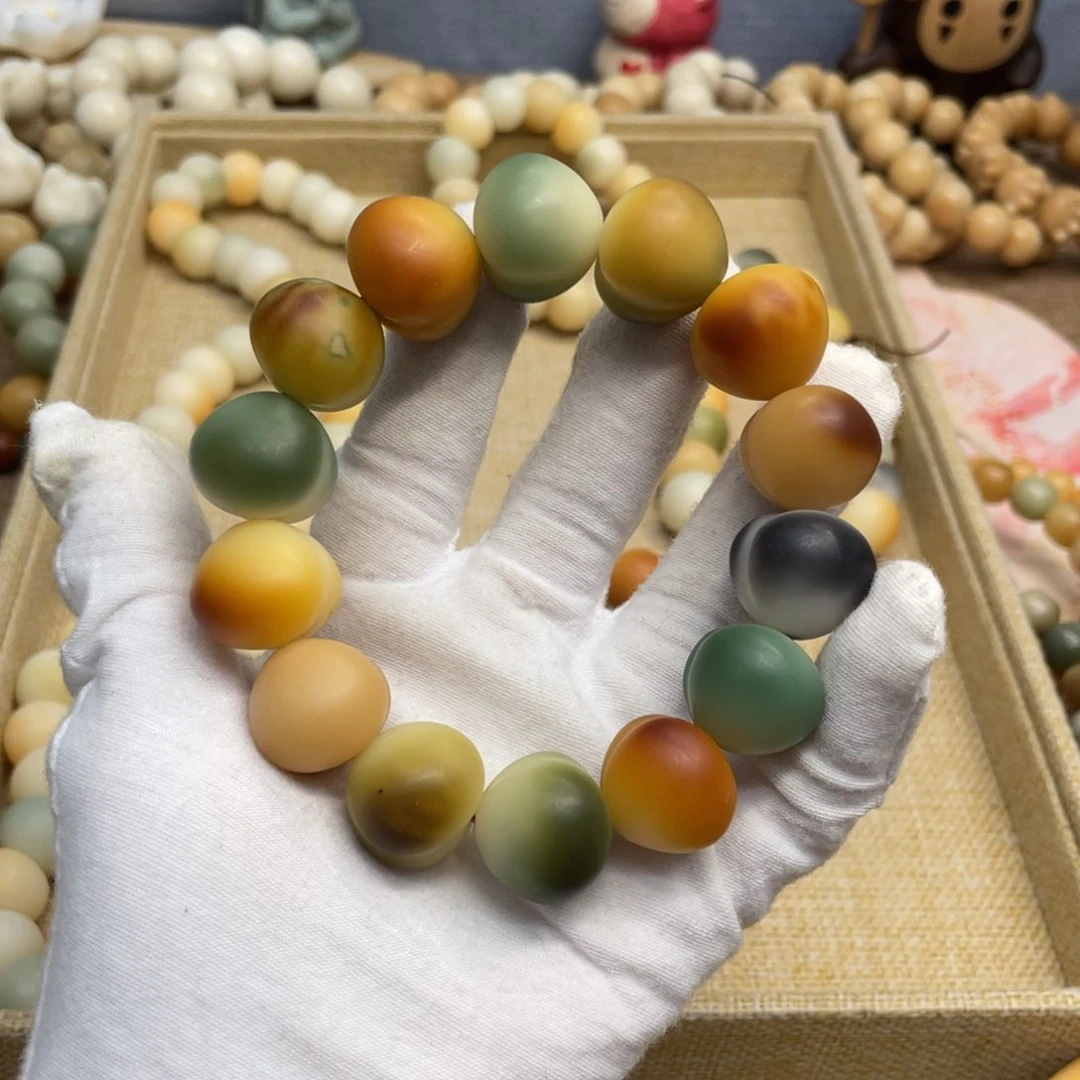 菩提根/象牙果吊坠20干磨瑕疵落地果屁桃696