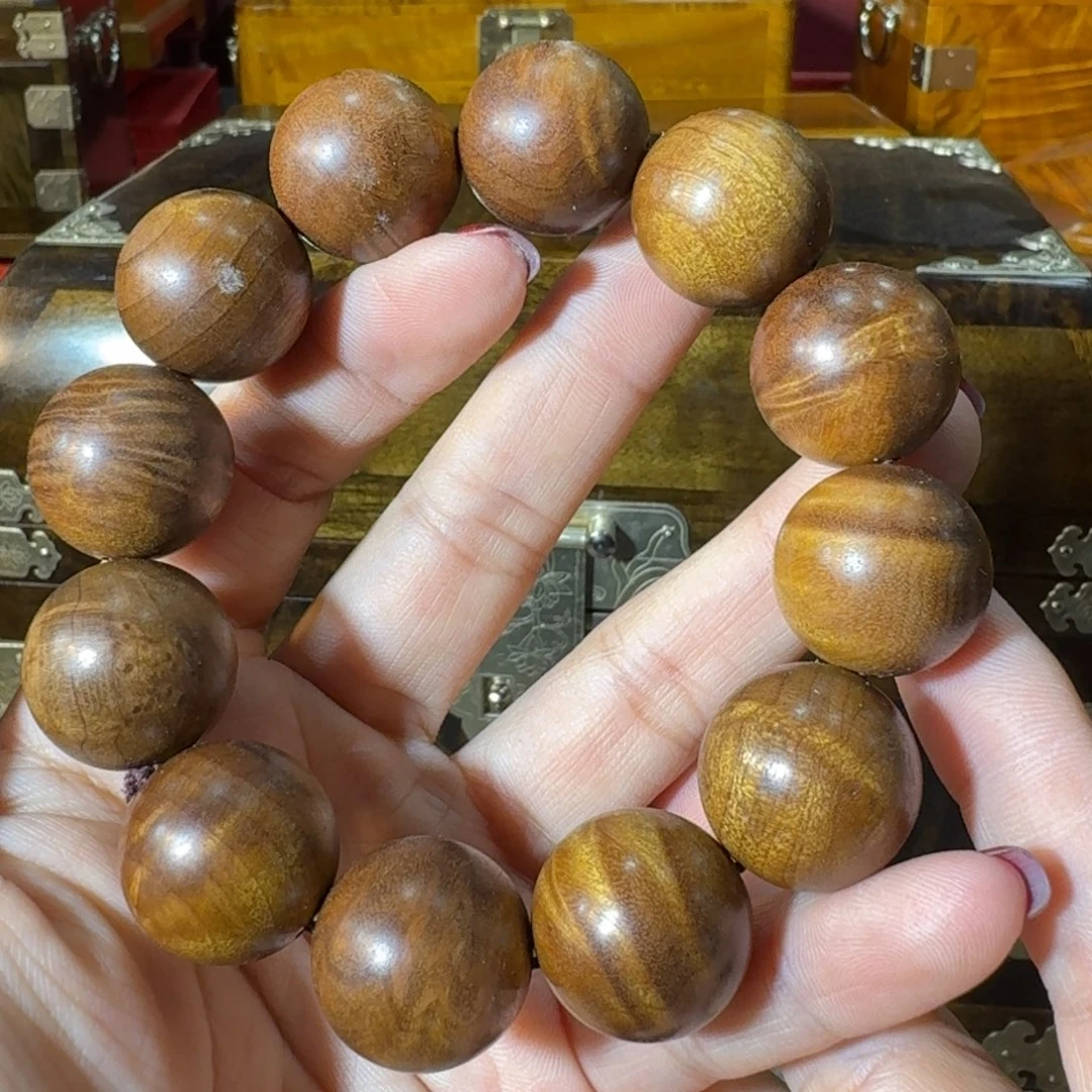 金丝楠金丝楠福利2.0