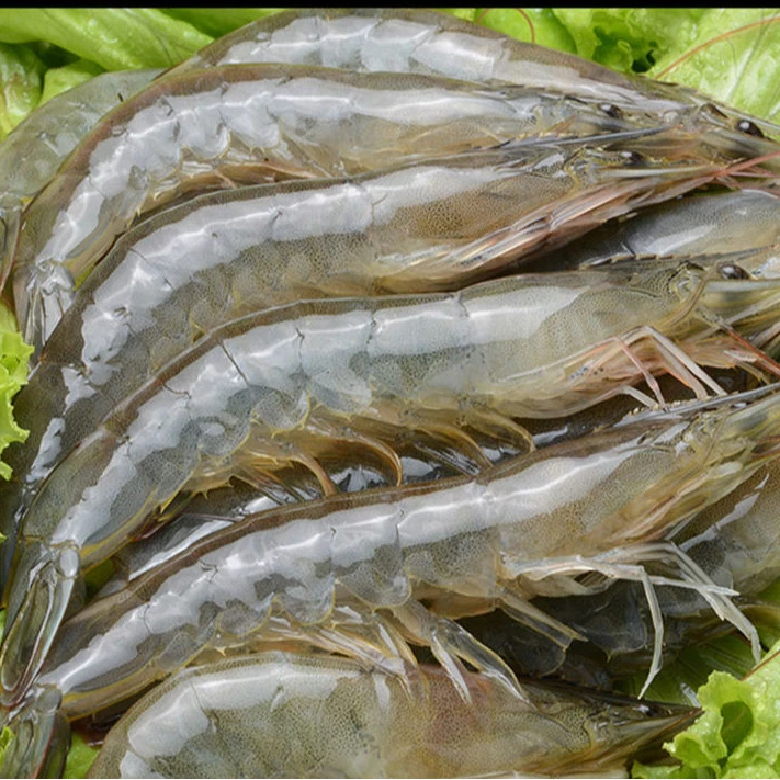 5斤整盒渤海虾12-15厘米/只15-20个/斤薄冰速冻锁鲜介意勿拍