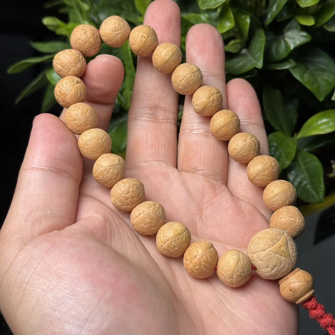 【五周年精选】6 G05763-凤眼菩提手持-多样性发其一-11mm