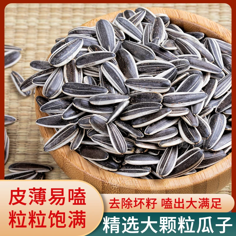 【买一斤送一斤】内蒙新鲜炒熟原味大颗粒新货生瓜子葵花籽炒货