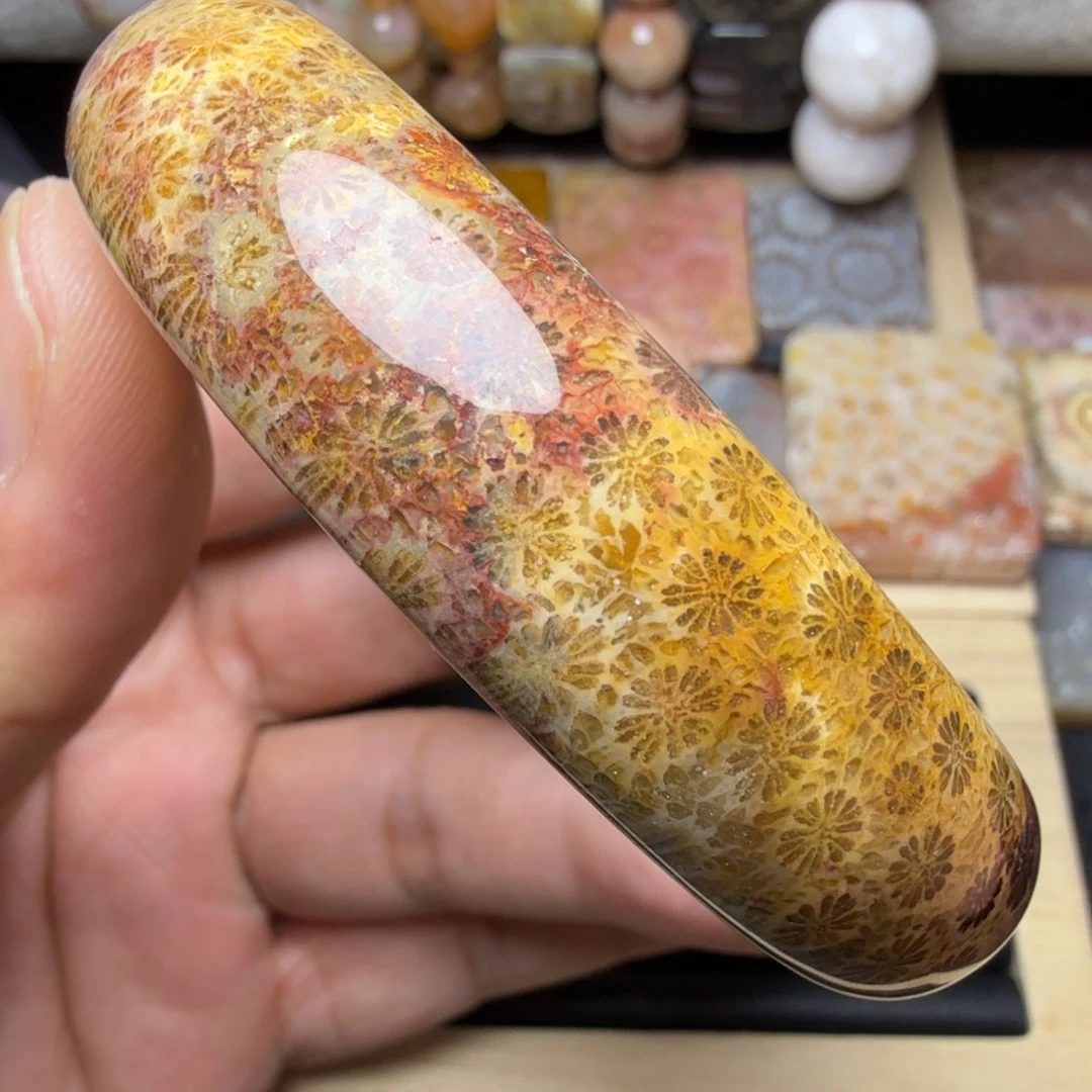 硅化玉未镶嵌纯天然色有机玉石保真色58.5圈口豹纹