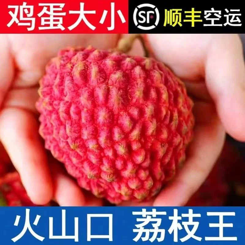 海南荔枝王火山口新鲜荔枝同城送
