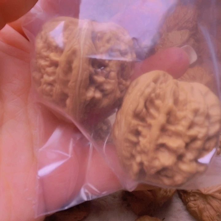 林*核桃核桃核桃核桃核桃